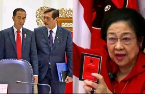 Pilihan Jokowi Hanya Dua, Copot Luhut atau Putus Hubungan dengan Megawati